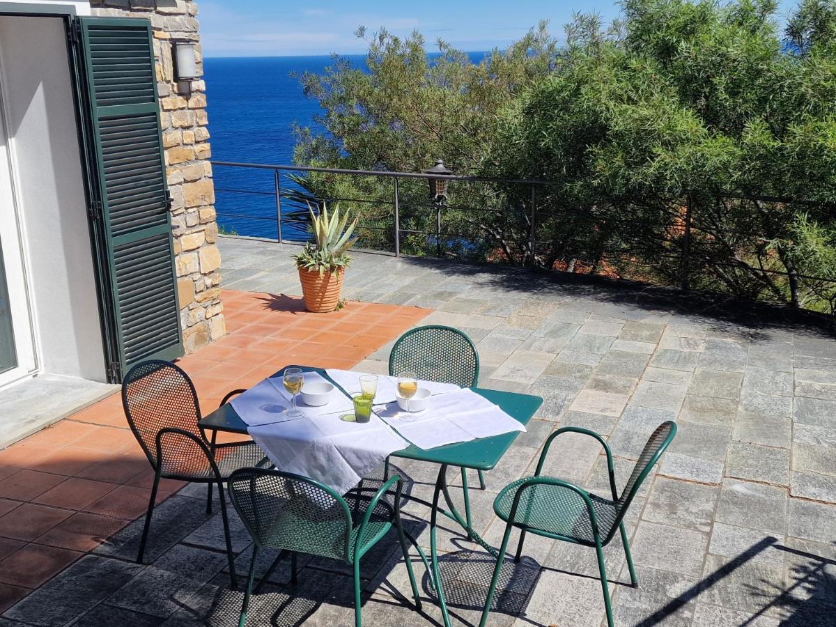 In Mimosa Cervo